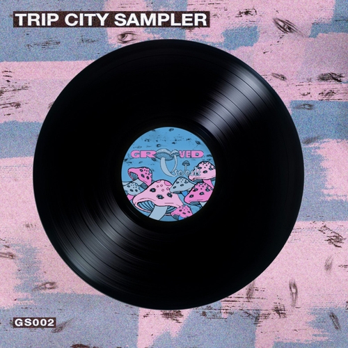 VA - Trip City Sampler [GS002]